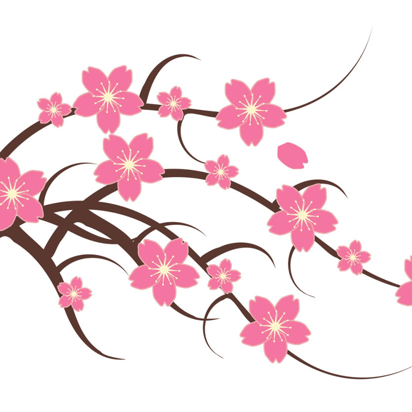 Graphic representation of Japanese Cherry Blossom
